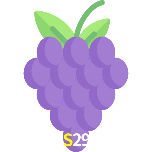 S29