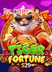 S29